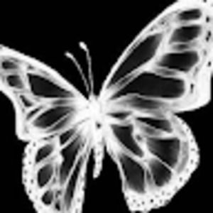 Meet your Posher, Eileen